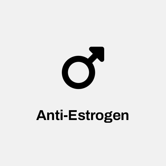 Black Anti-Estrogen Icon