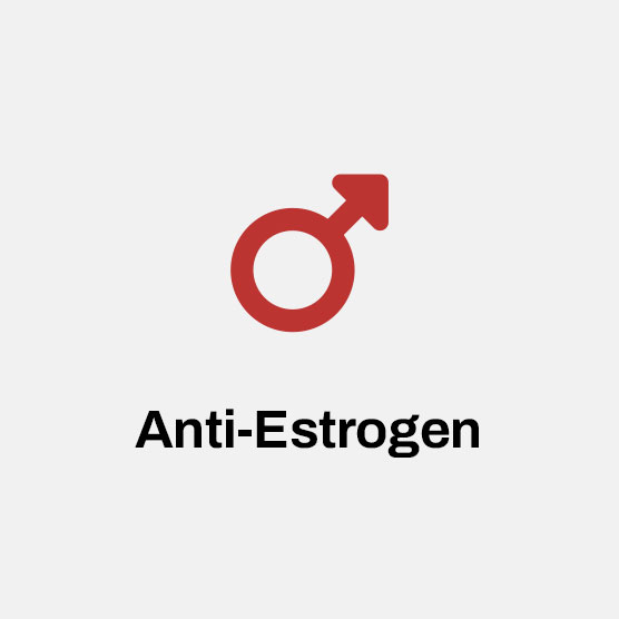 Red Anti-estrogen Icon